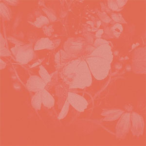 Disco Vacancy EP de Aisha Badru