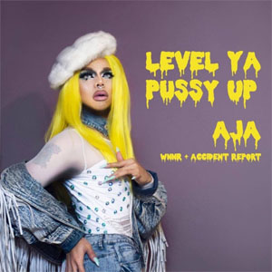 Disco Level Ya Pussy Up de Aja