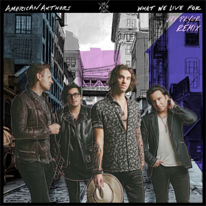 Disco What We Live For (Jay Pryor Remix) de American Authors