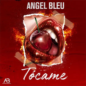 Disco Tócame de Ángel Bleu