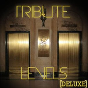 Disco Levels (Avicii Deluxe Tribute) - Single de Avicii