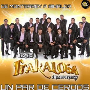 Disco Un Par De Cerdos  de Banda La Trakalosa (Edwin Luna y La Trakalosa de Monterrey)