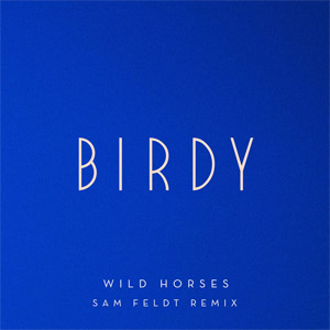 Disco Wild Horses (Sam Feldt Remix) de Birdy