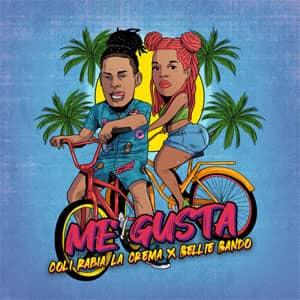 Disco Me Gusta de Coli Rabia La Crema