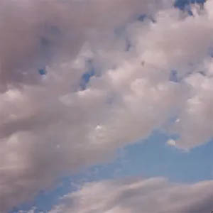 Álbum Mi Querido, Mi Viejo, Mi Amigo de Cuco