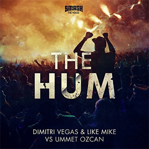 Disco The Hum de Dimitri Vegas & Like Mike