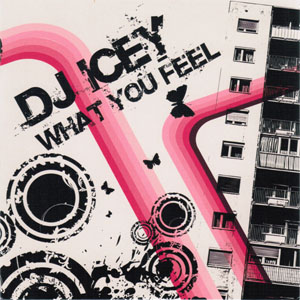 Disco What You Feel de DJ Icey