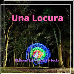 Disco Una Locura de El Boom La Mezcla Perfecta