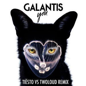 Disco You (Tiësto Vs. Twoloud) de Galantis