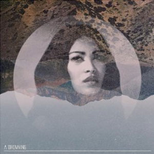 Disco A Drowning de How To Destroy Angels