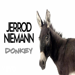 Disco Donkey de Jerrod Niemann