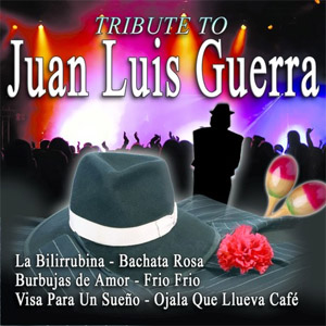 Disco Tribute To Juan Luis Guerra de Juan Luis Guerra