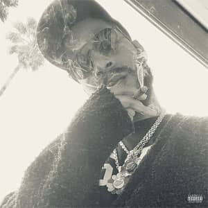 Disco Leader Of The Delinquents de Kid Cudi