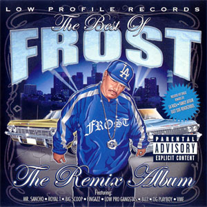 Disco The Best Of Frost - The Remix Album de Frost