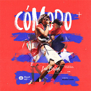 Disco Cómodo de Leebrian