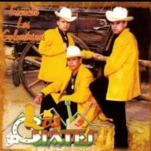 Disco Escuché Las Golondrinas de Los Cuates De Sinaloa