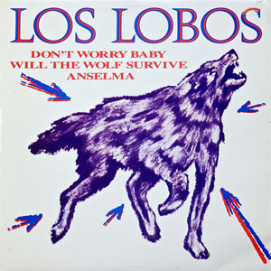 Disco Don't Worry Baby de Los Lobos