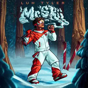 Disco Mr. Skii de Luh Tyler