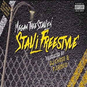 Disco Stalli (Freestyle) de Megan Thee Stallion