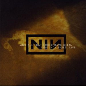 Disco And All That Could Have Been de Nine Inch Nails 