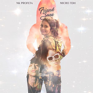 Disco Friend Zone de Nk Profeta