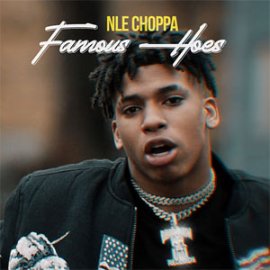 Disco Famous Hoes de NLE Choppa