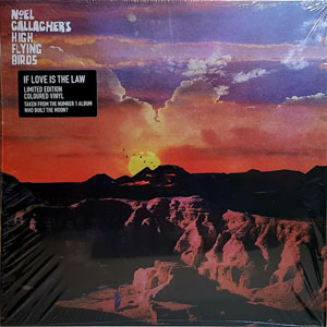 Disco If Love Is The Law de Noel Gallagher