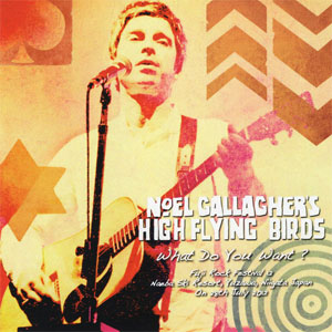 Disco What Do You Want? de Noel Gallagher
