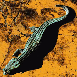 Disco Firme de Rodrigo Mercado