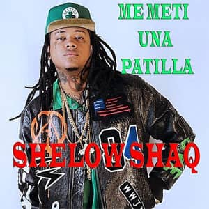 Disco Me Metí Una Patilla de Shelow Shaq