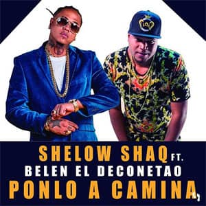 Disco Ponlo A Camina de Shelow Shaq