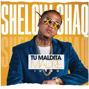 Disco Tu Maldita Madre de Shelow Shaq