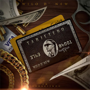 Disco Tarjetero de Wilo D' New