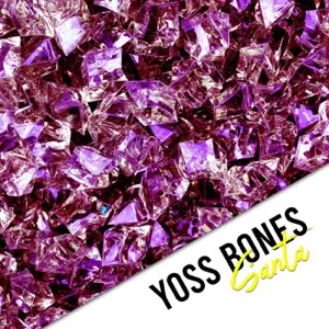 Disco Santa de Yoss Bones