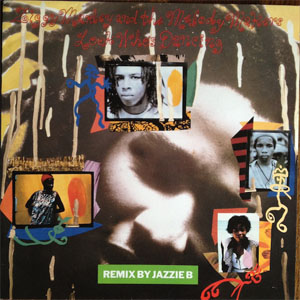 Disco Look Who's Dancing de Ziggy Marley