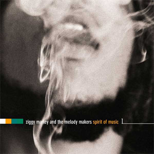 Disco Spirit Of Music de Ziggy Marley
